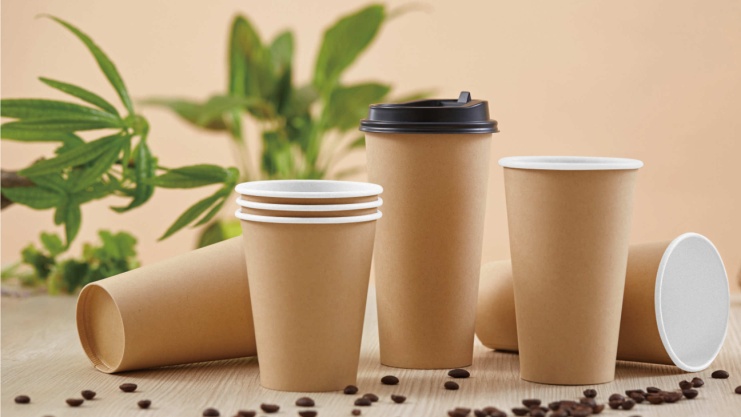 ly giấy 16oz take away